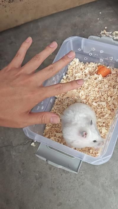 2025-08-16 至 2025-08-17工作内容