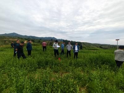 2025-08-07工作总结